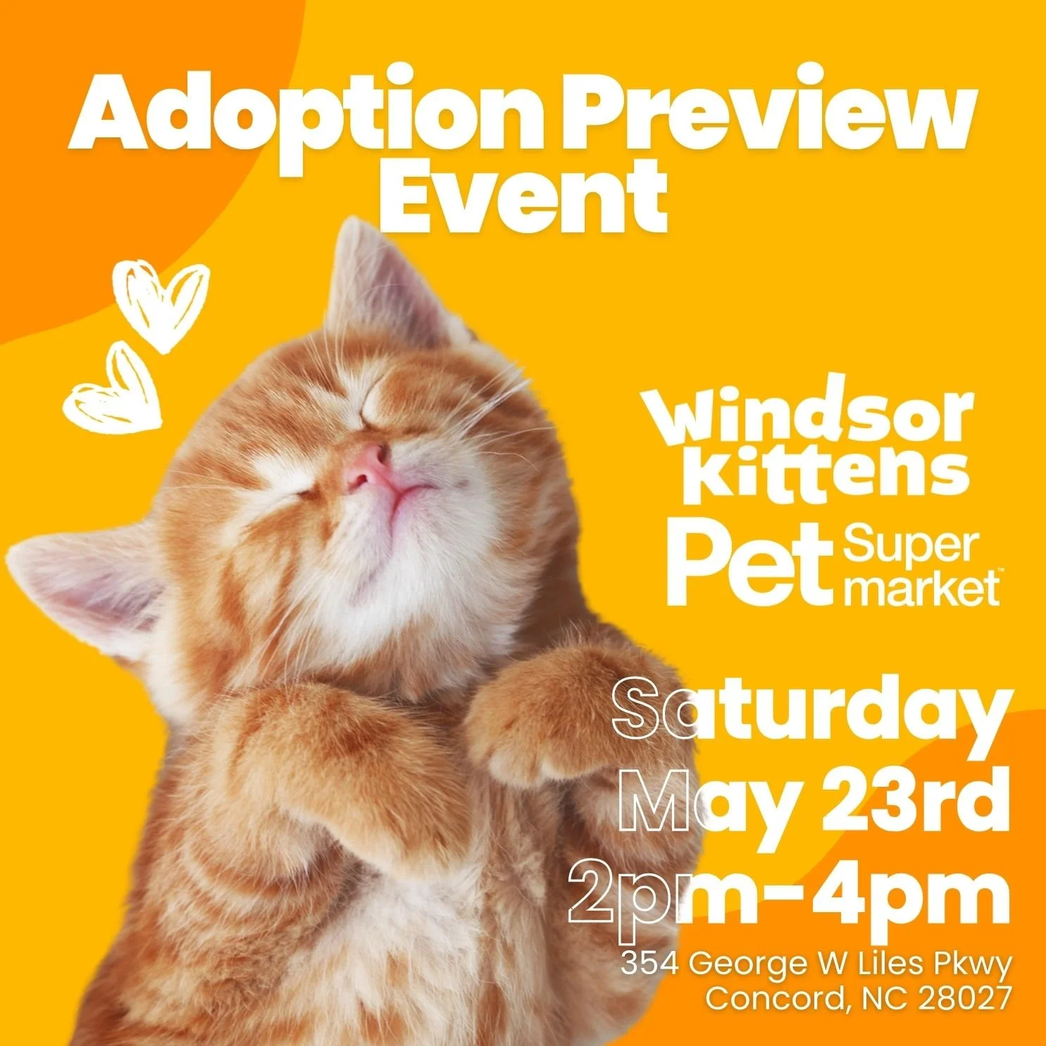 Adoption Preview Event: Pet Supermarket Concord (Sat. May 23rd)
