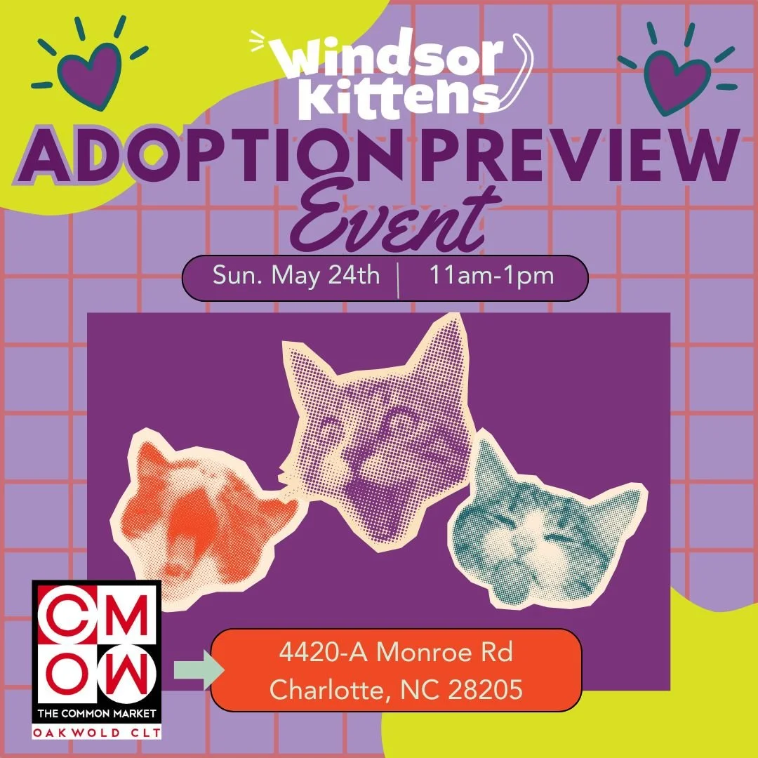 Adoption Preview Event: Common Market Oakwold (Sun. May 24th)