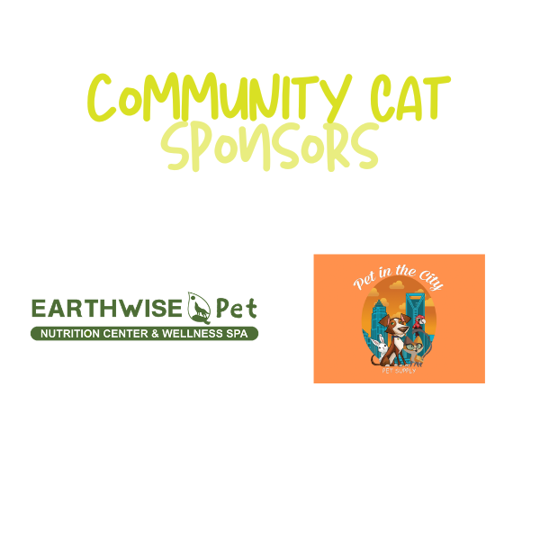 M&M26 WebsiteSocial Content (1).png