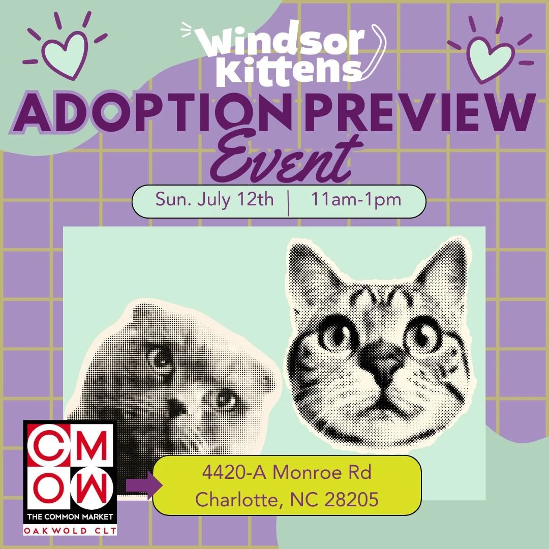 Adoption Preview Event: Common Market Oakwold (Sun. July 12th)