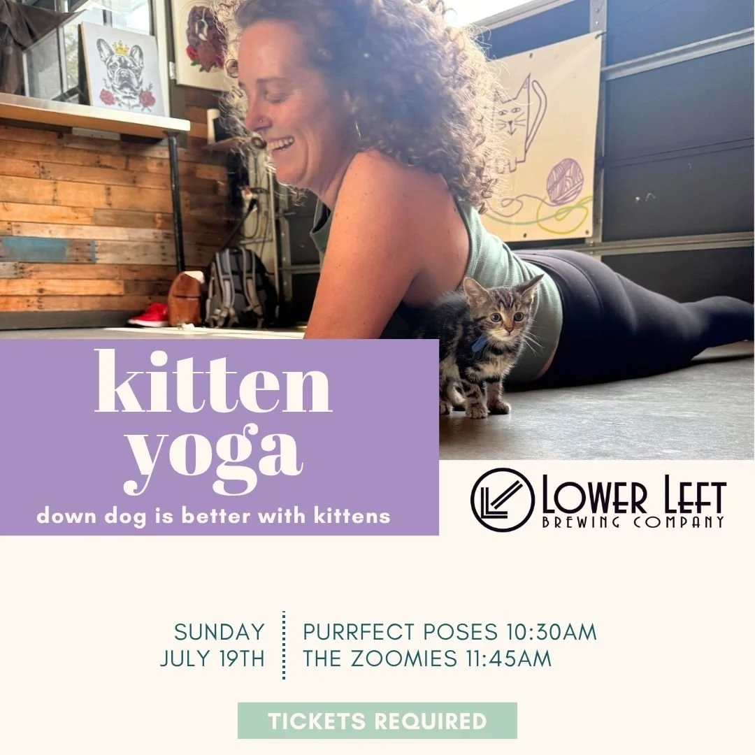 Kitten Yoga: Sun. July 19th