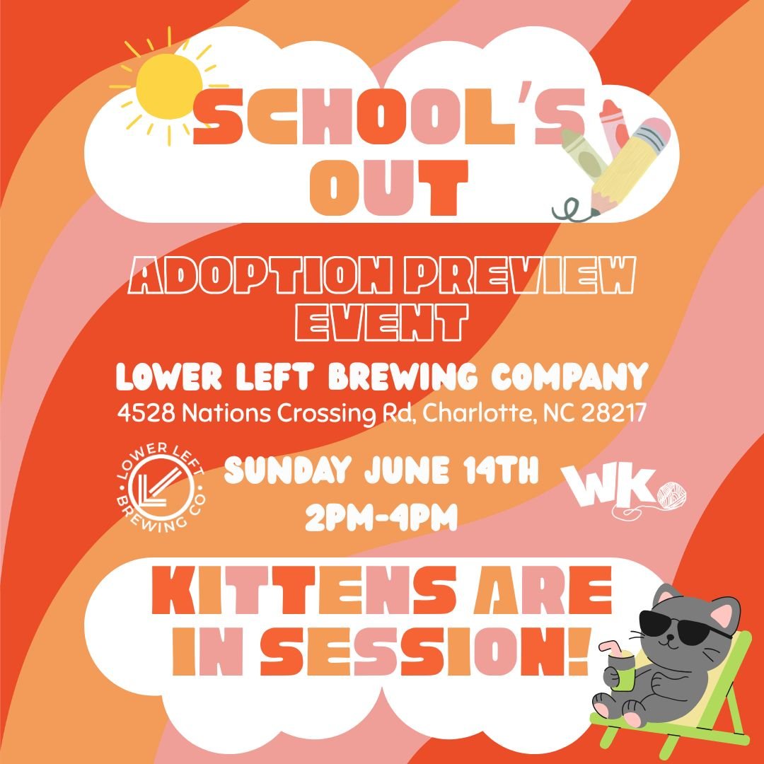 Adoption Preview Event: Lower Left Brewing Co. (Sun. June 14th)