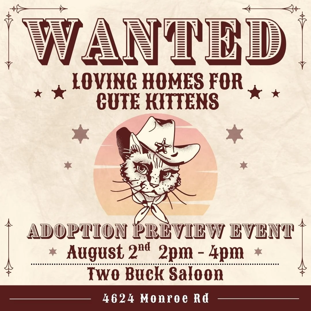 Adoption Preview Event: Two Buck Saloon (Sun. August 2nd)