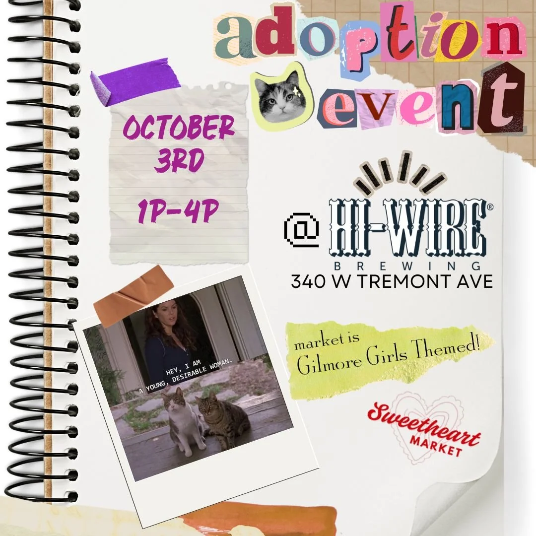 Sweetheart Market @ Hi-Wire Brewing (Sat. October 3rd)