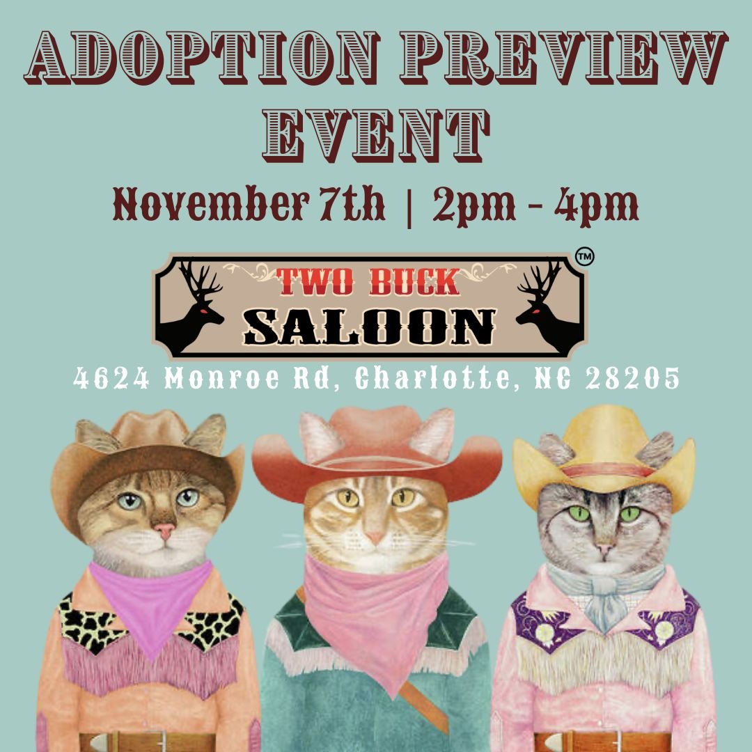 Adoption Preview Event: Two Buck Saloon (Sat. Nov. 7th)
