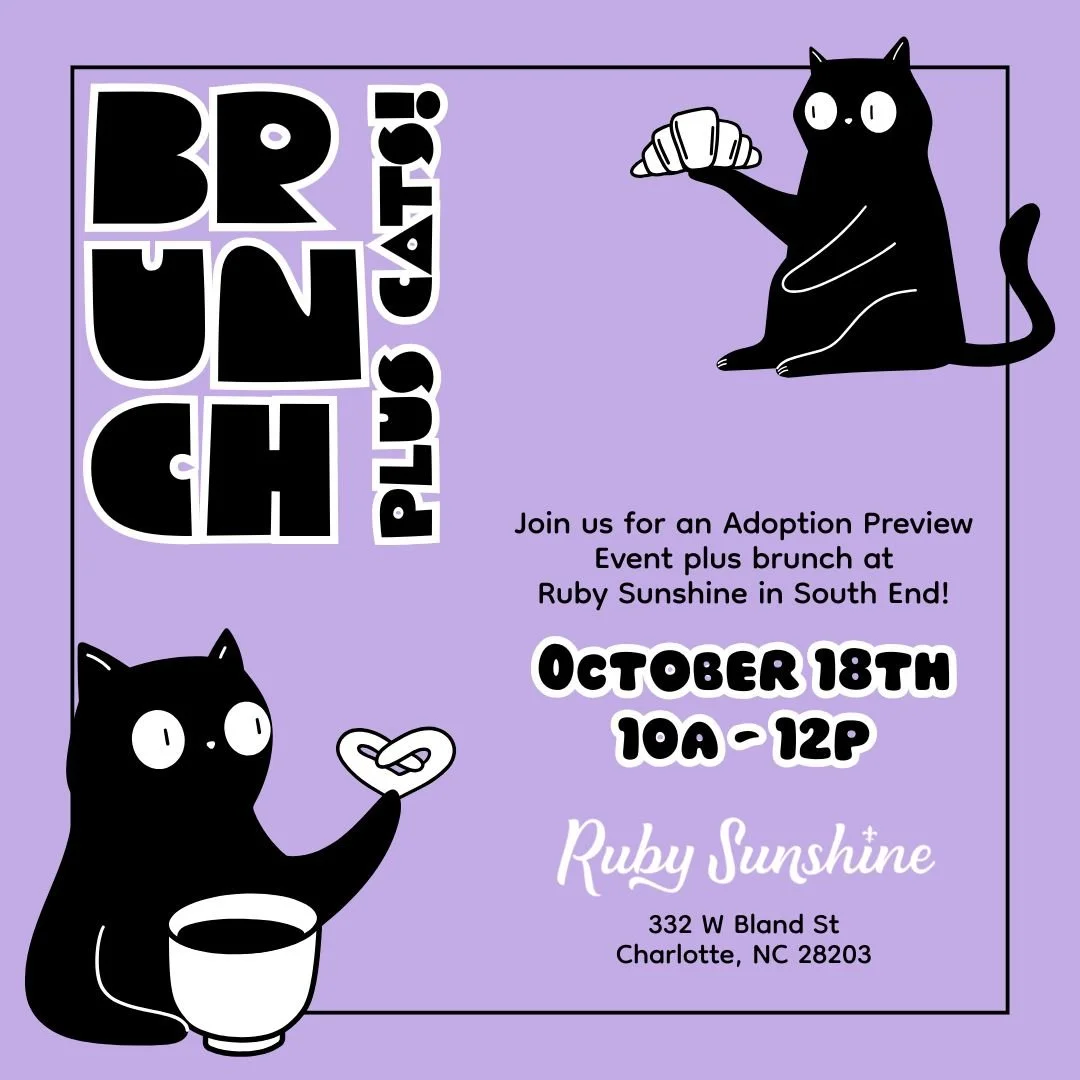 Brunch at Ruby Sunshine (Sun. Oct. 18th)
