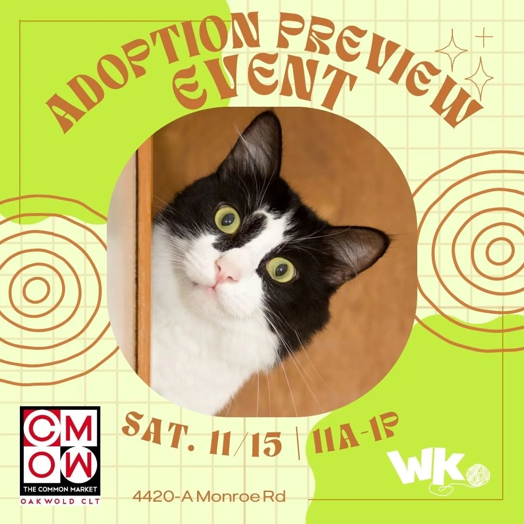 Adoption Preview Event: Common Market Oakwold (Sun. Nov. 15th)
