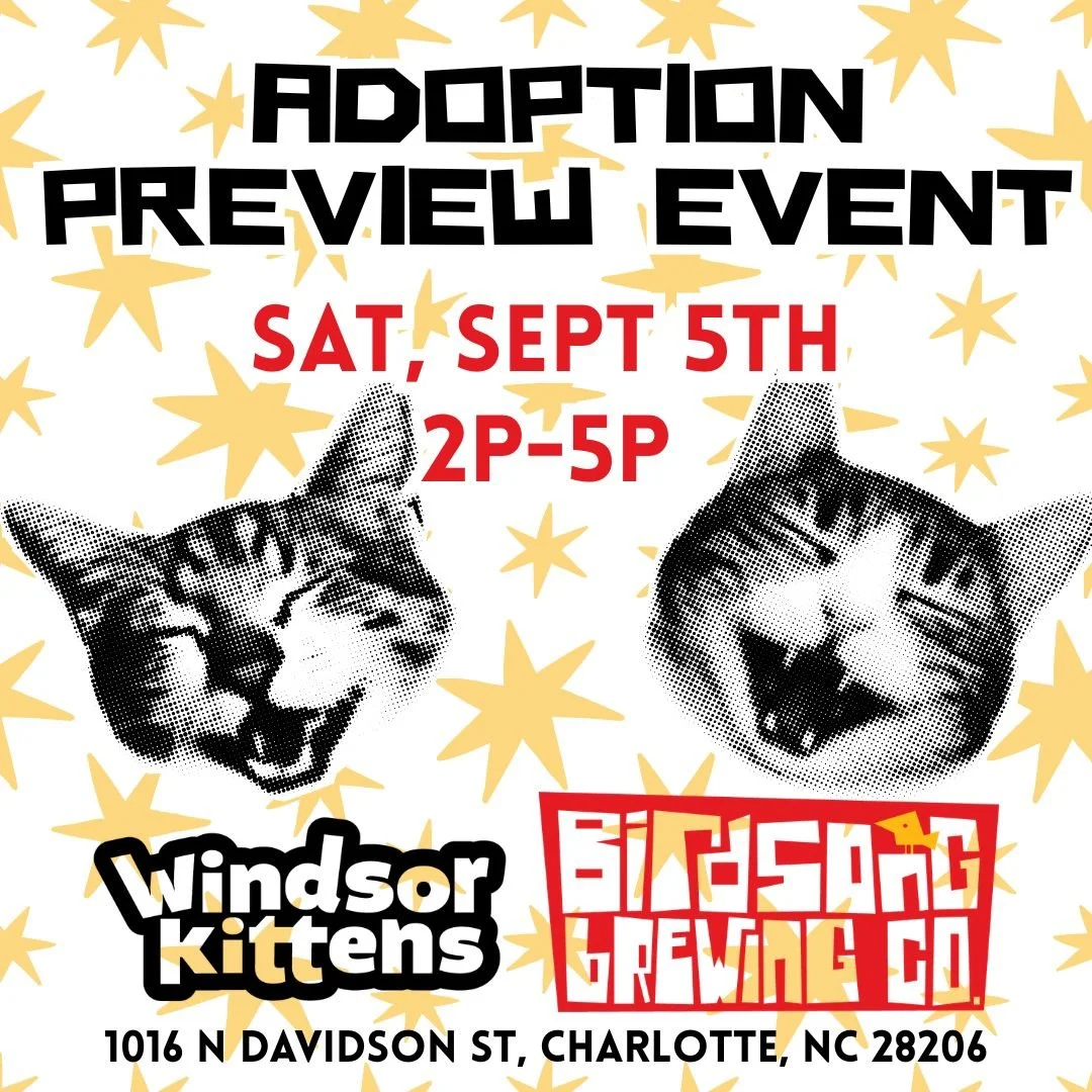 Adoption Preview Event: Birdsong Brewing (Sat. September 5th)