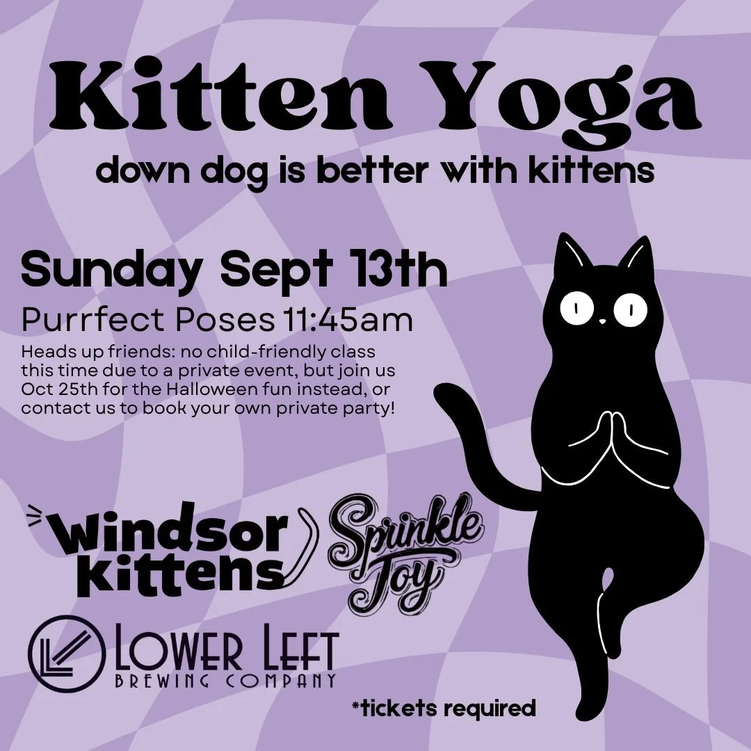 Kitten Yoga: Sun. Sept. 13th