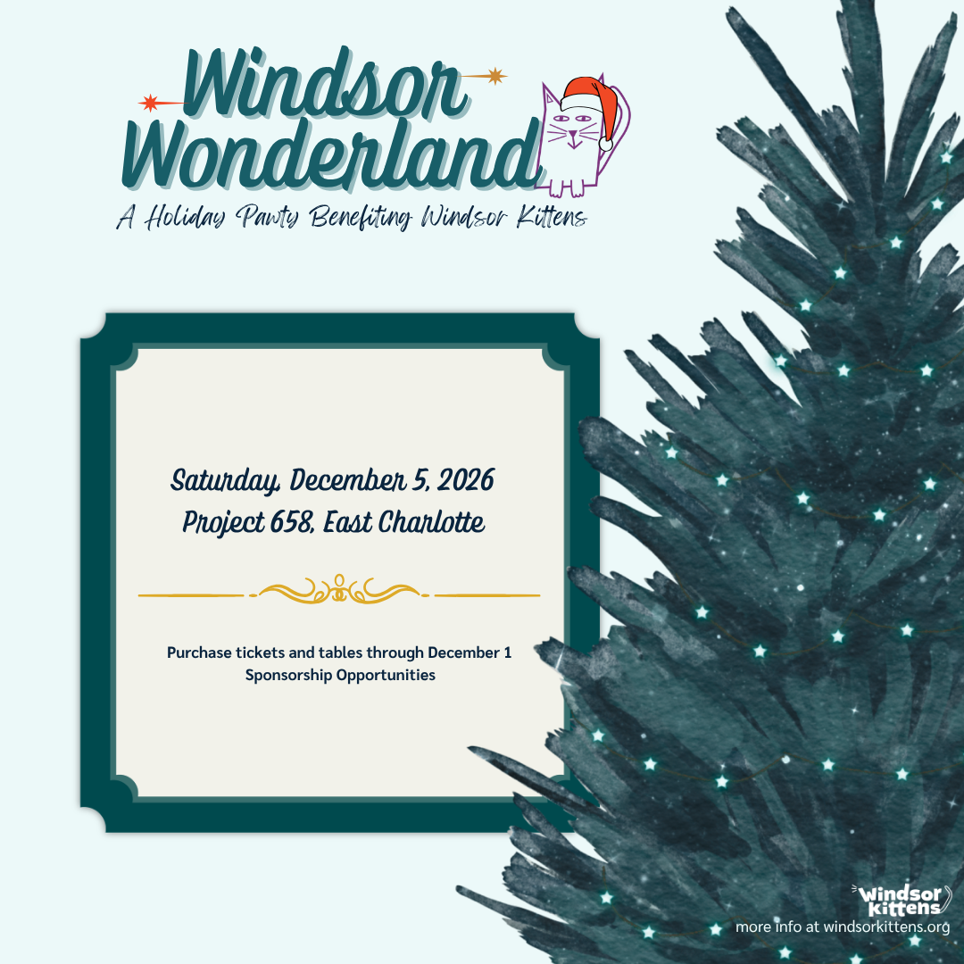 Windsor Wonderland