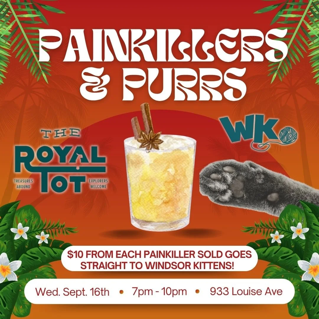 Painkillers &amp; Purrs (Wed. Sept. 16th)