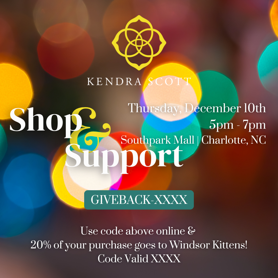 Kendra Gives Back: In Store &amp; Online Event (Thurs Dec 10th)