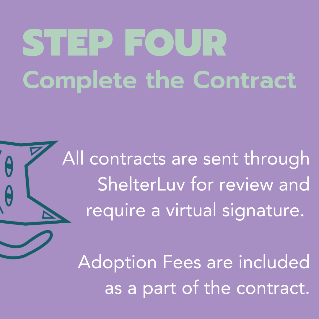 Adoption Process.png