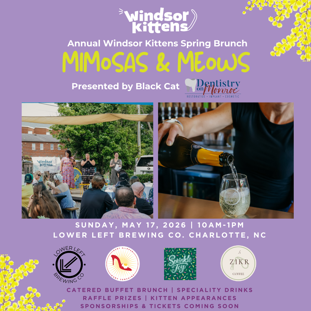 Spring Brunch: Mimosas &amp; Meows