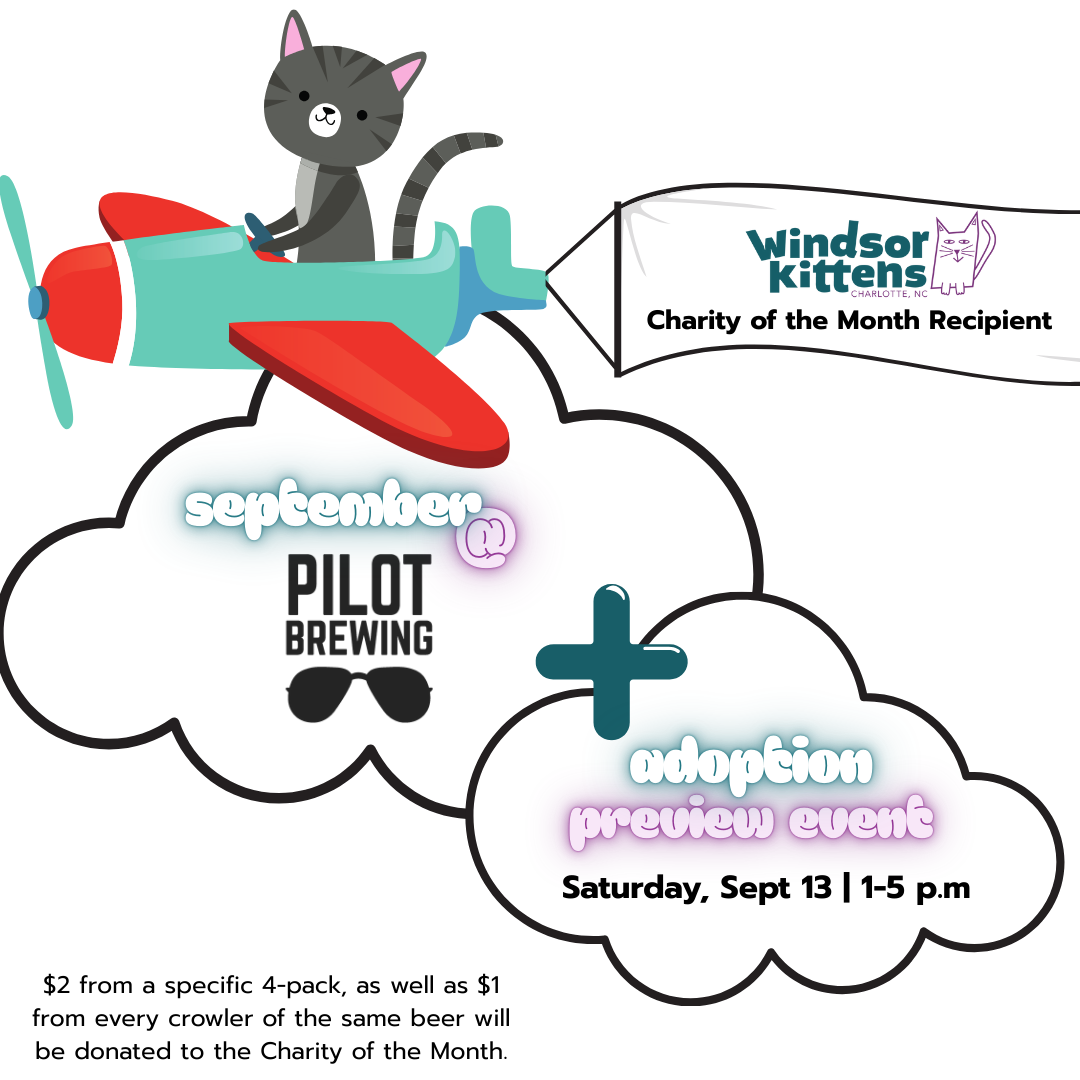 Pilot Brewing Co. Adoption Preview Event