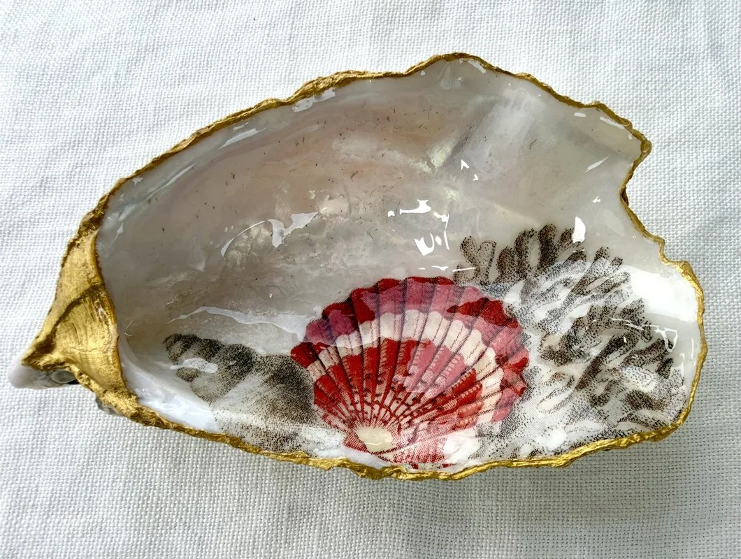 UNIVERS CORAIL