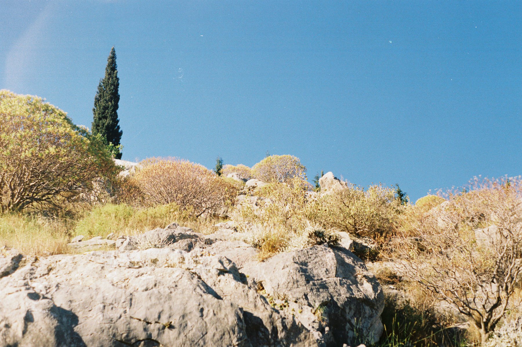 R1-04064-0036.jpg