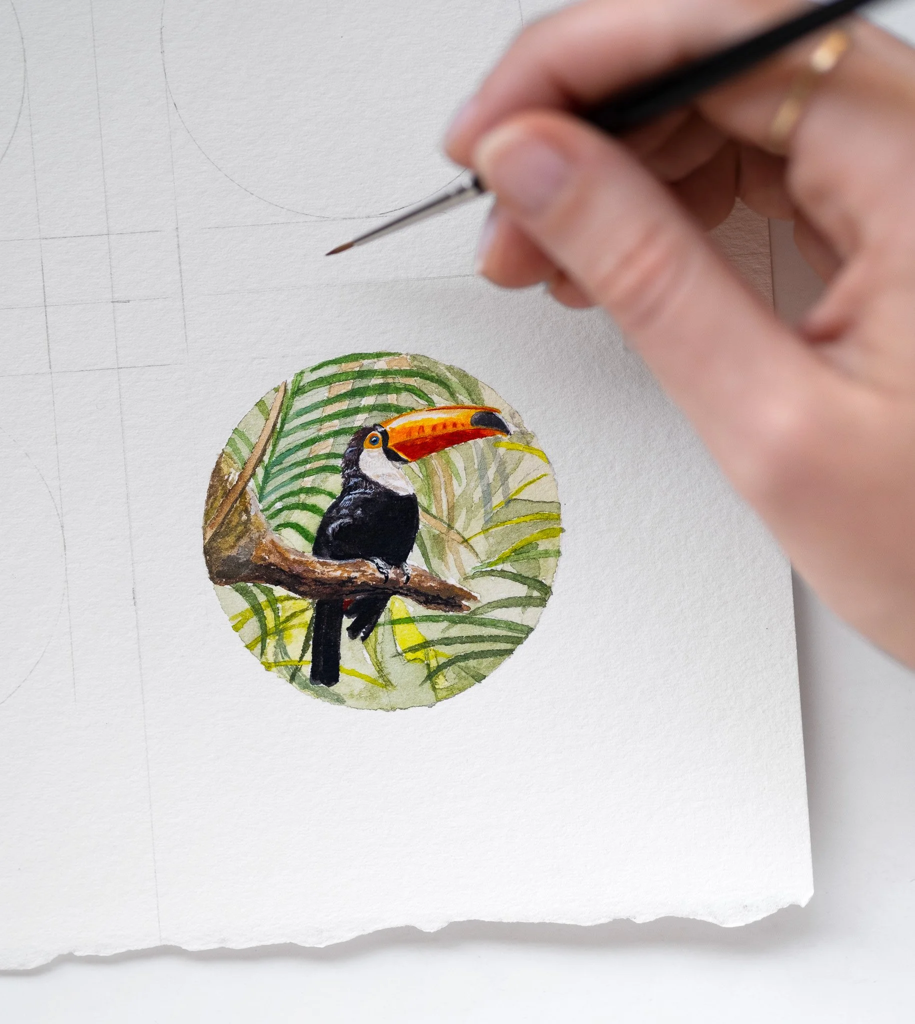 Miniature Watercolour Bird Illustrations