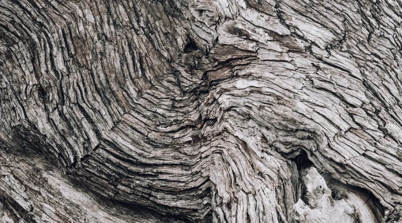 Kruger Park, South Africa