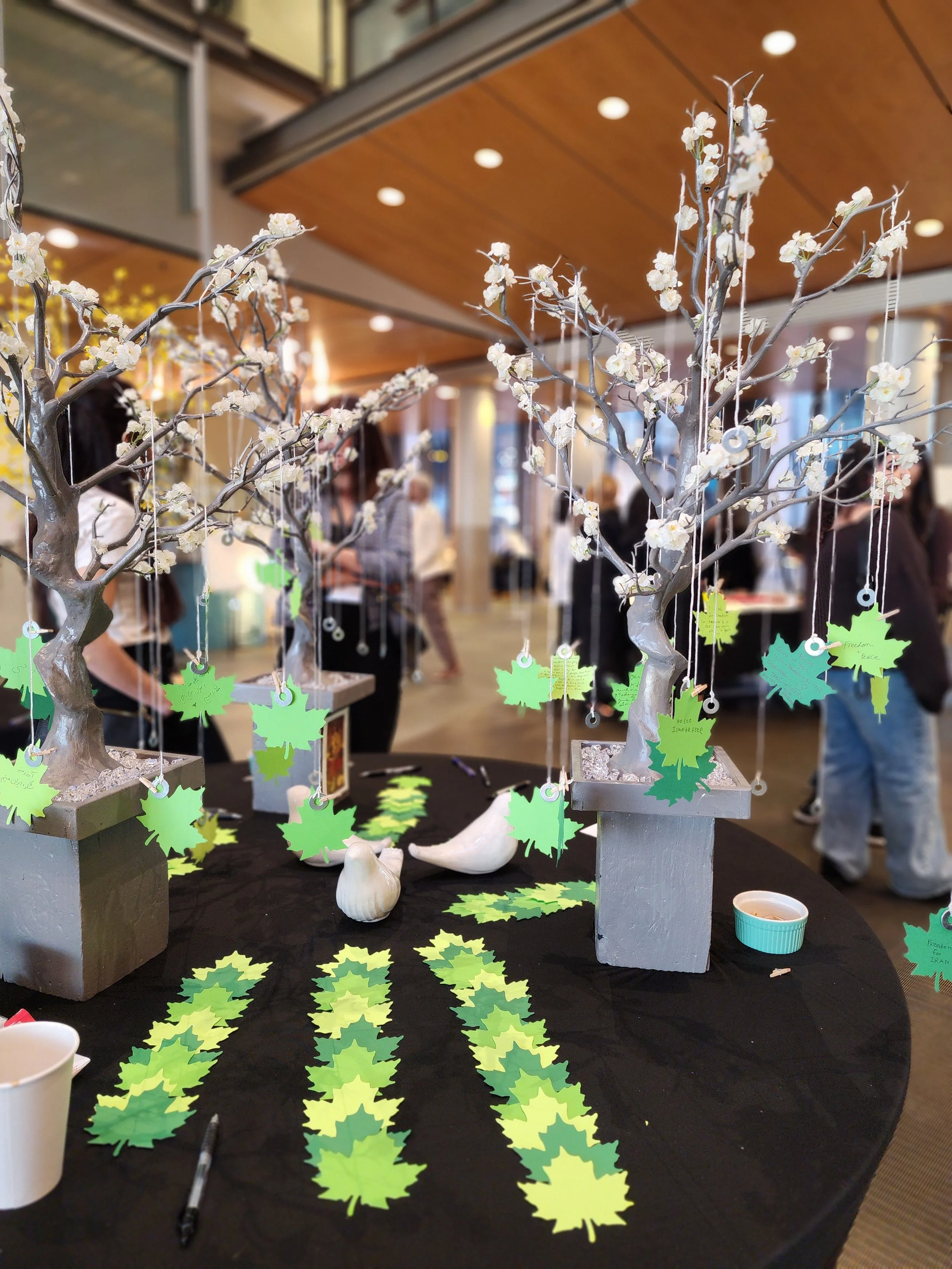 2026-03-06 00.04.33.jpg