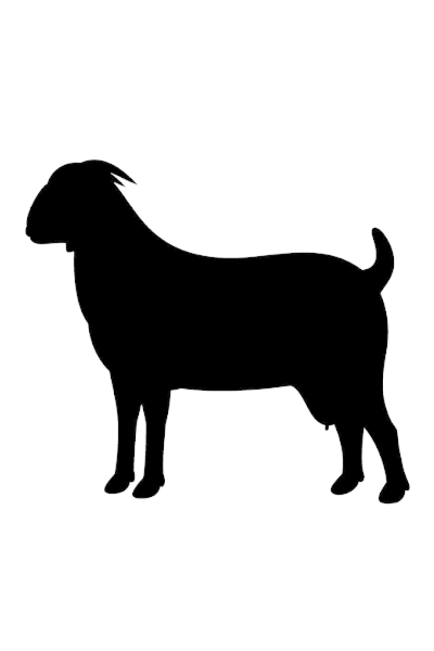 goat.png