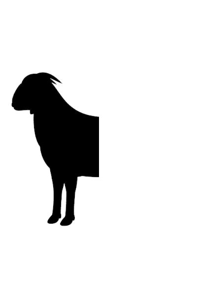 half goat.png