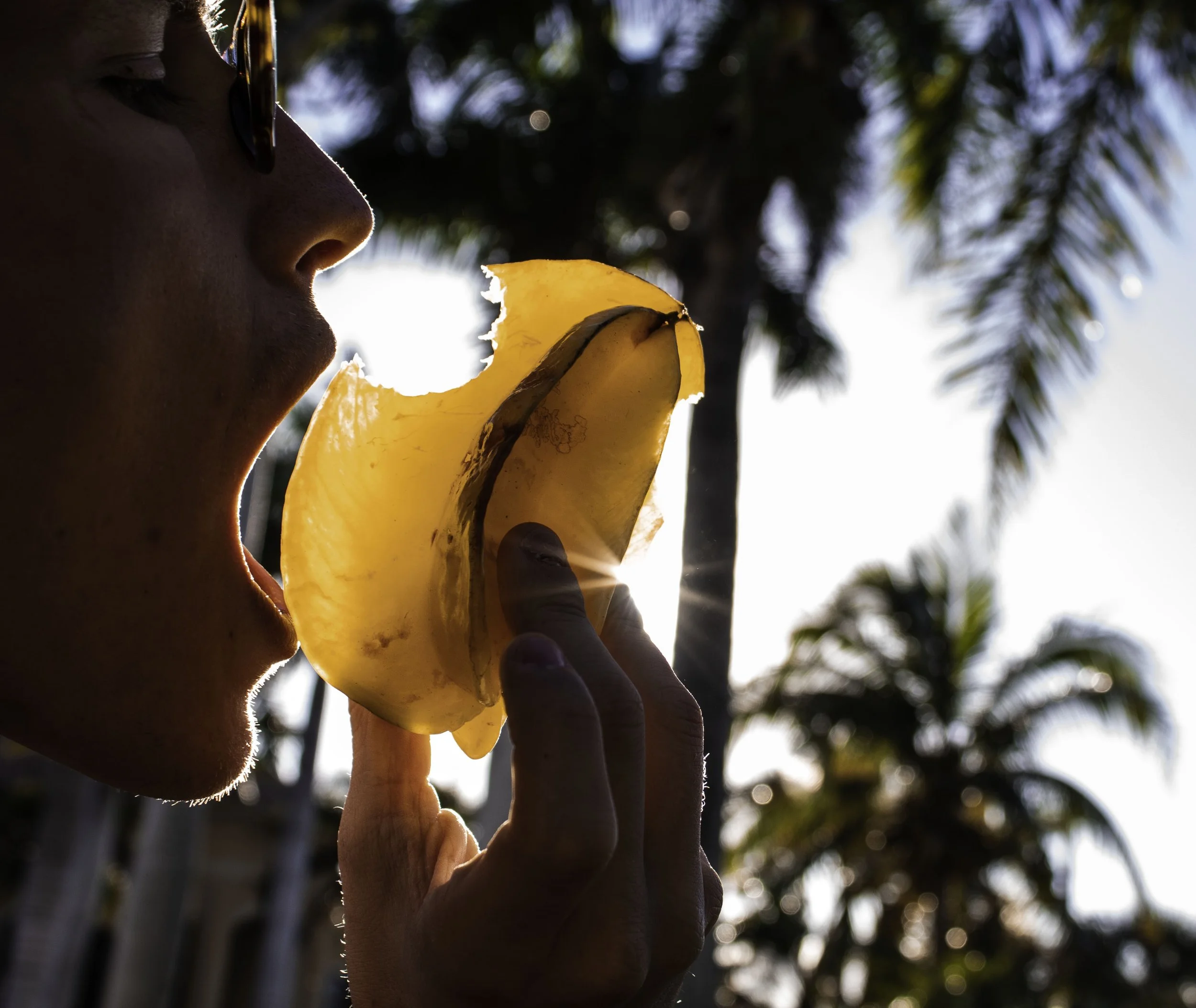 Riley Star Fruit.jpg