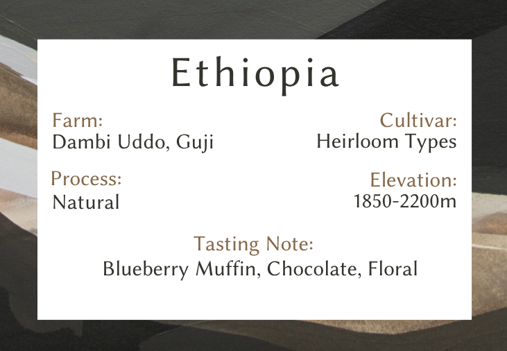 Ethiopia Natural