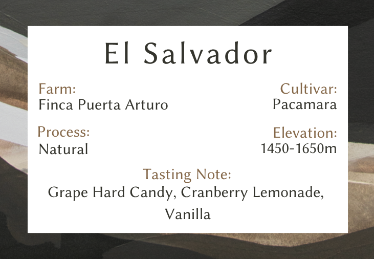 El Salvador Pacamara Natural
