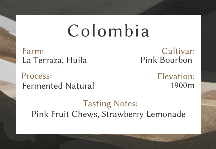 Colombia Fermented Natural Pink Bourbon