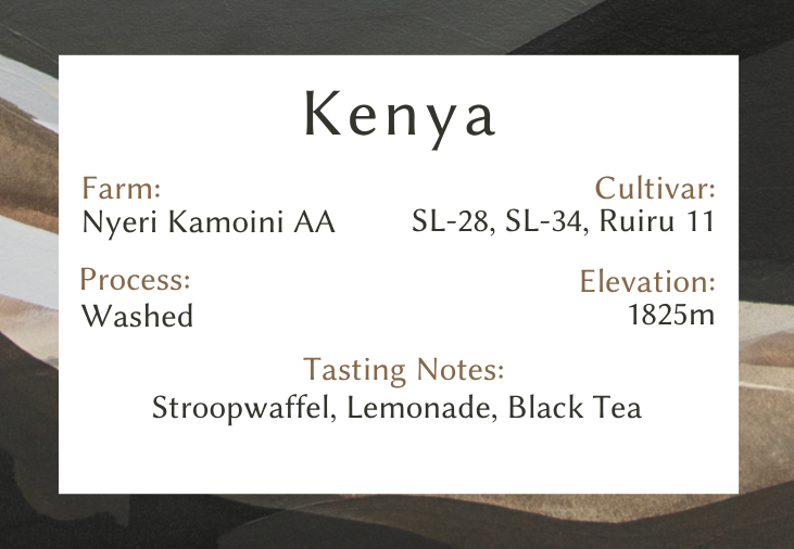 Kenya Nyeri Kamoini AA