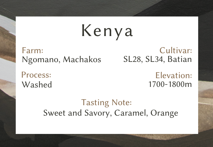 Kenya Ngomano Washed