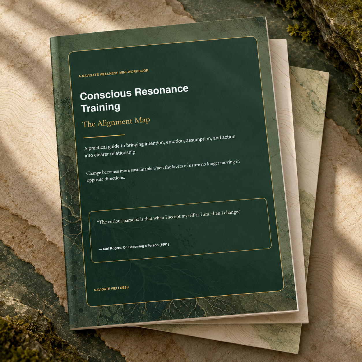 Conscious Resonance Training - Alignment Map Mini-Workbook