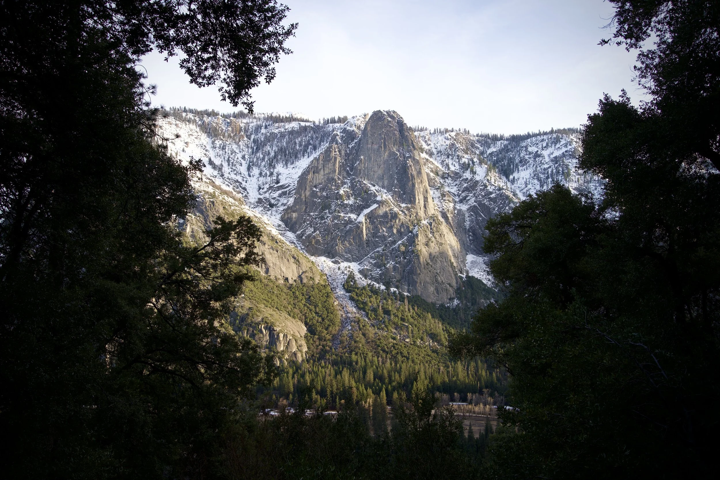 Snow-capped mountain surrounded by dense green trees, clear sky in the background.