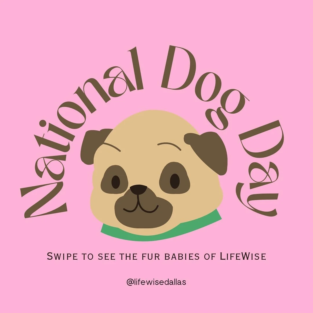 Happy national dog day! 
We LOVE our fur babies 🥹 
#nationaldogday #lifewisedallas