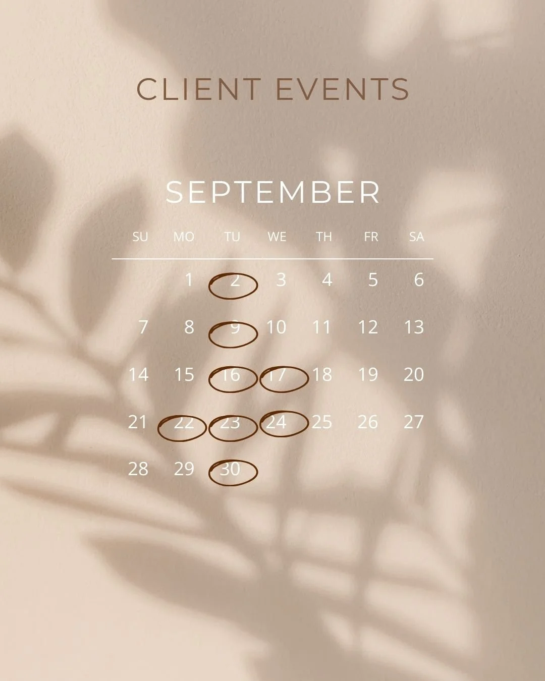 SEPTEMBER EVENTS AT LIFEWISE
Client Events: 
Tuesday Nights- Wise Guys
17th- Client Event- Park Day
22nd- Client Event - Dallas Zoo
24th- LifeWalks Resume! 

Professional Events
Wellness Walks every Friday Morning

Interested in signing up? Email us 