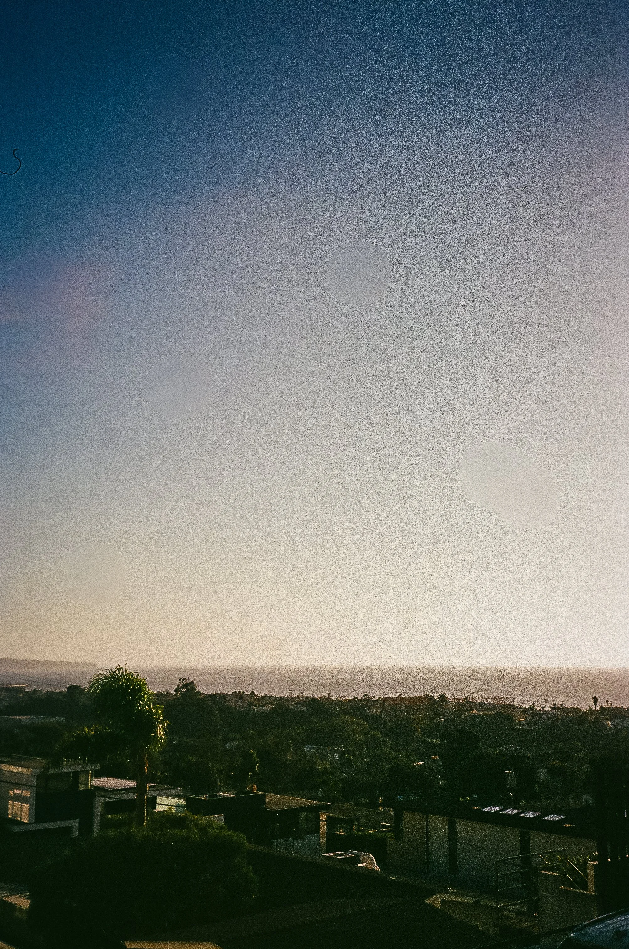 0001_1 2.jpeg