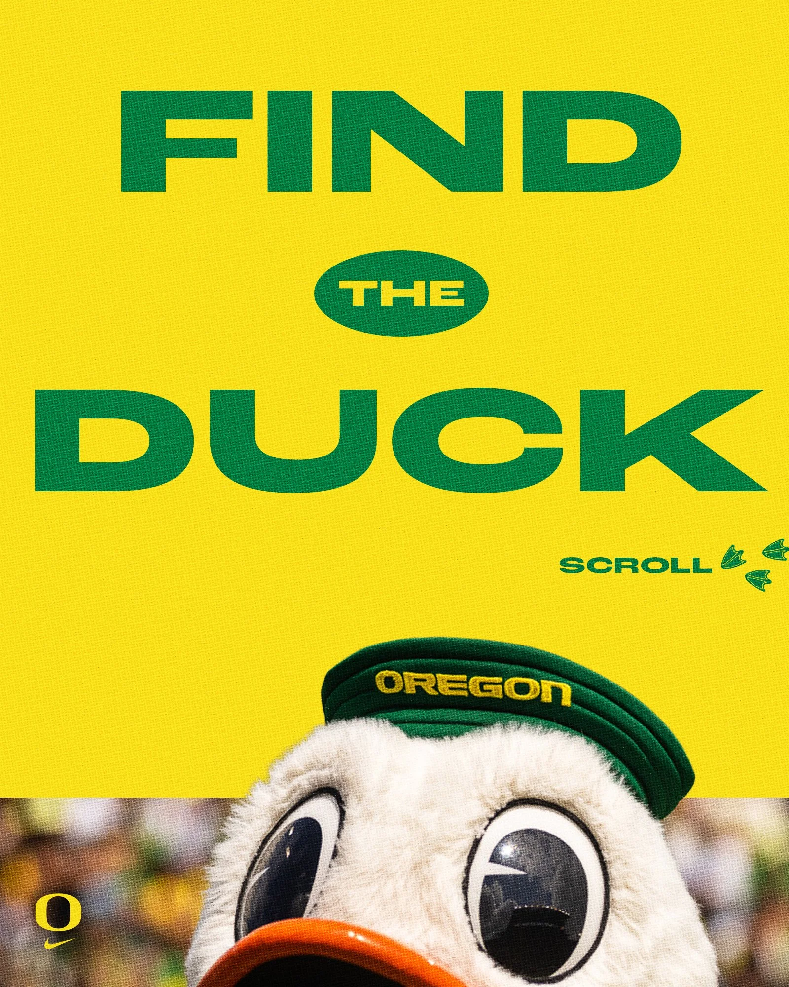 Where's the duck.jpg