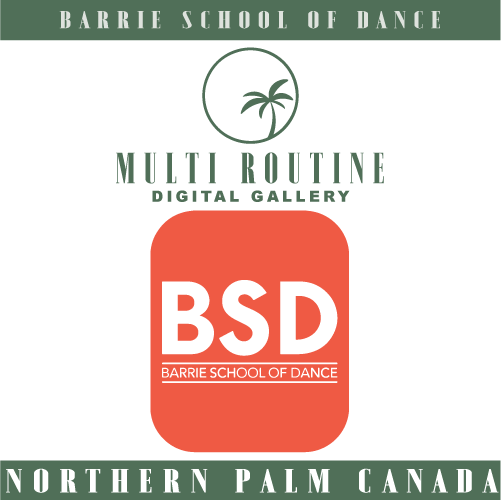 BSD - Multi Routine Digital Gallery