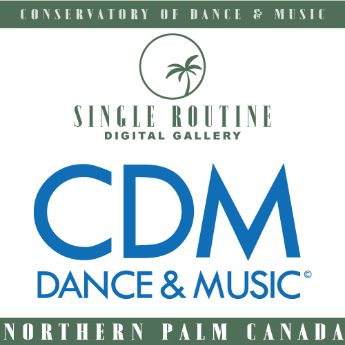 CDM - Single Routine Digital Gallery