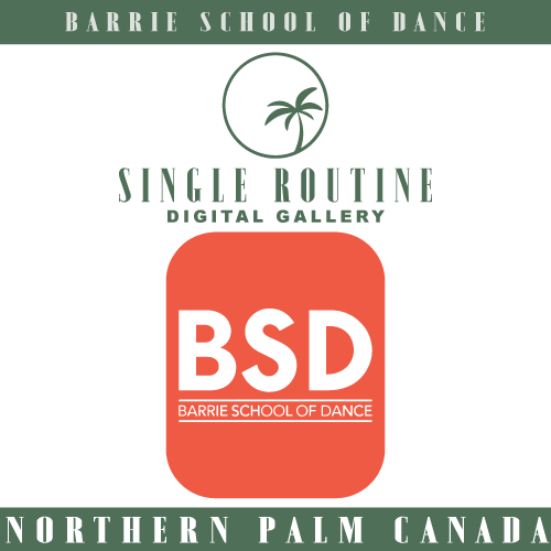 BSD - Single Routine Digital Gallery