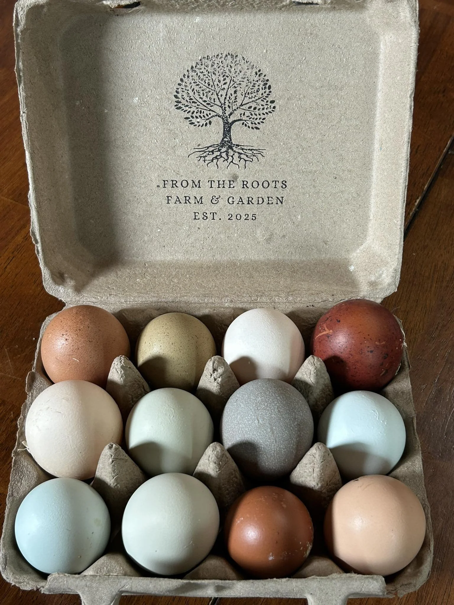 A box of twelve eggs in various colors, with the lid open showing the inside. The box has a printed design of a tree and the words 'From the Roots Farm & Garden Est. 2025' on the inside of the lid.