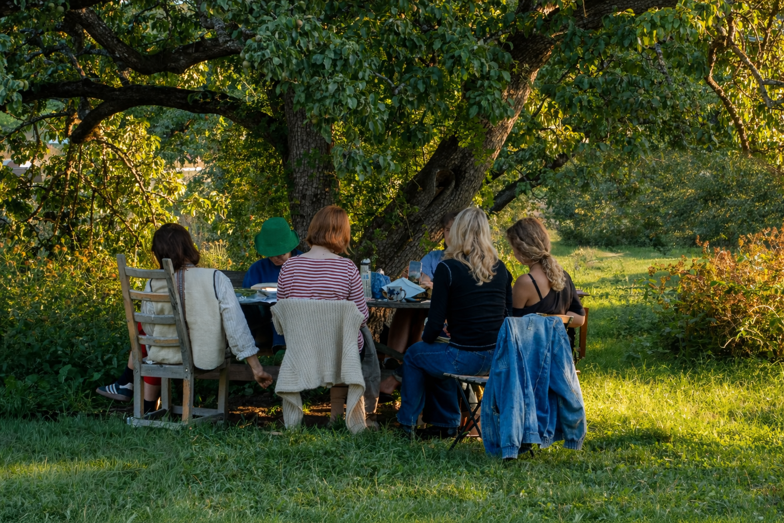 A group of six people, including children and adults, sitting around a table outdoors under a large leafy tree, having a meal or picnic on a lush green lawn during the daytime.