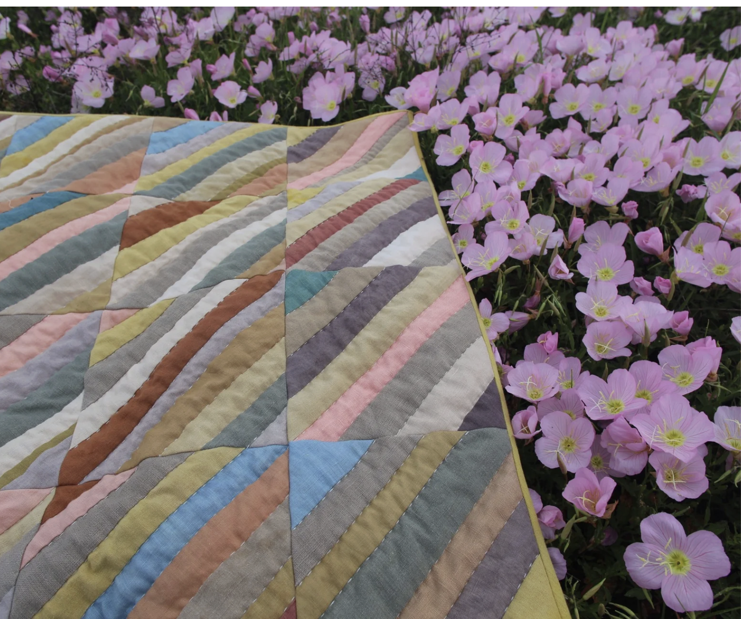 Colorful quilt with diagonal striped pattern draped on pink flowers in a garden.