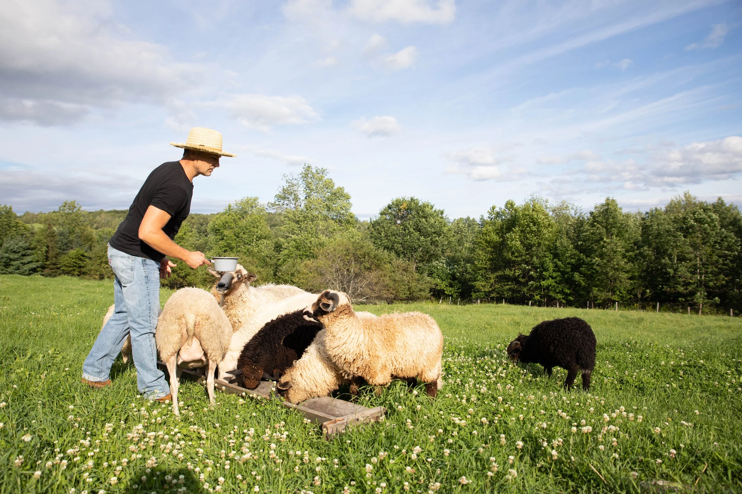 farm life 

