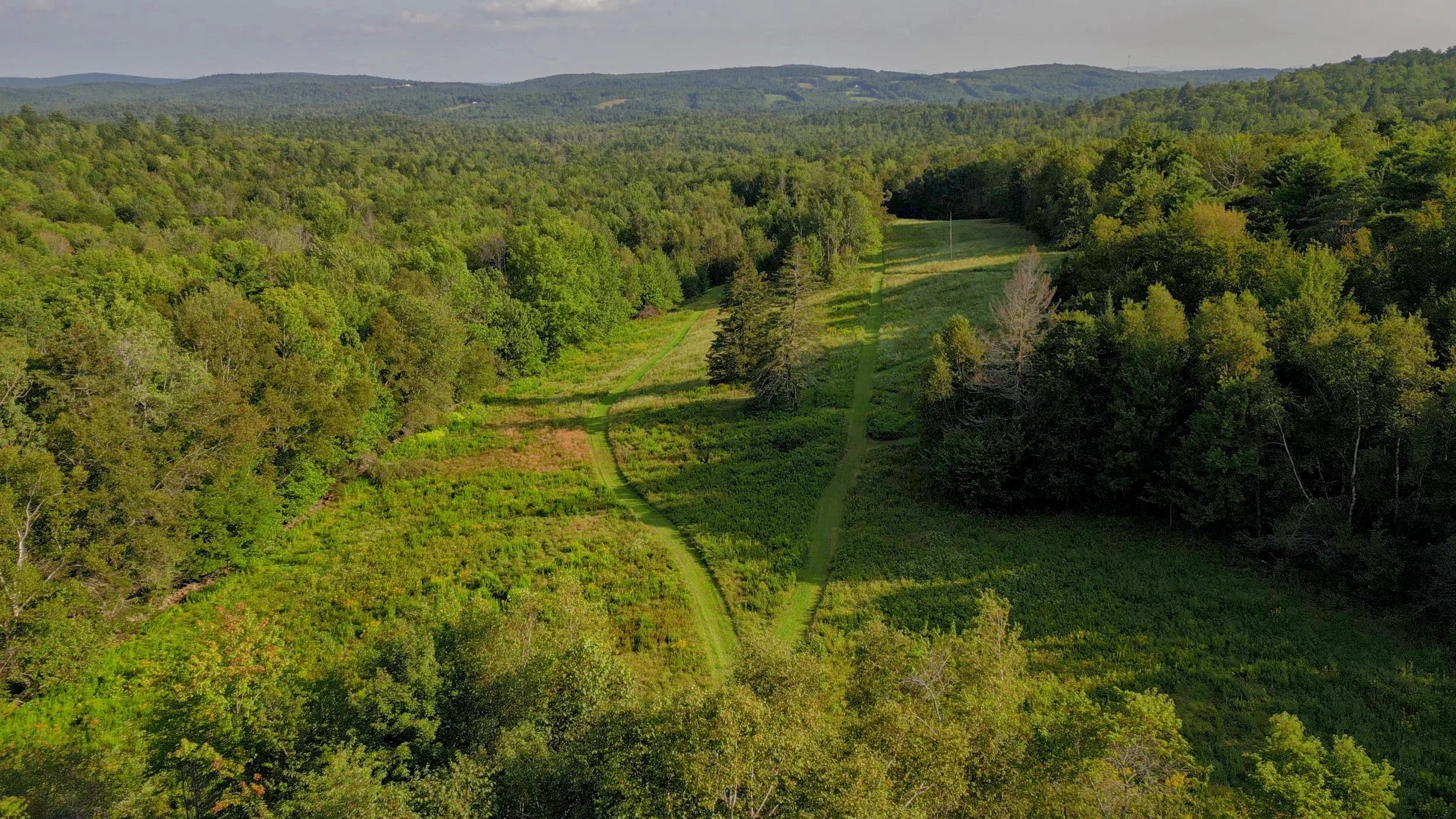 the land 