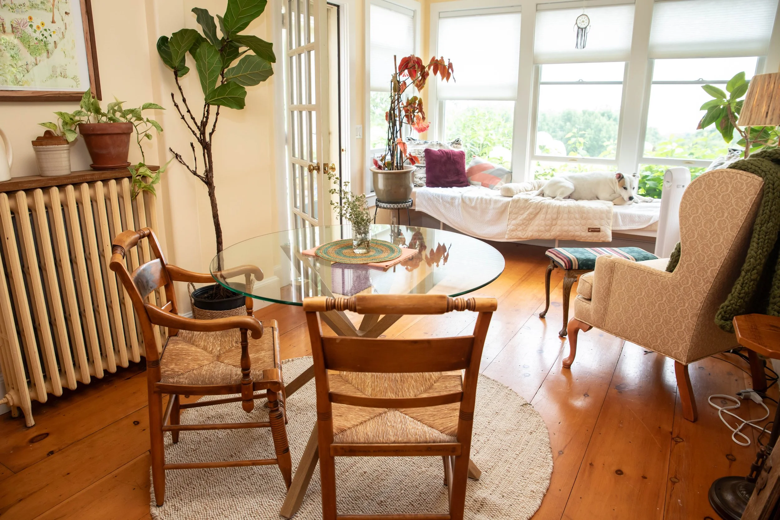 A cozy living room with a round glass dining table, wooden chairs, and a window seat with cushions and a dog resting on a white blanket. Potted plants and a radiator are also visible.