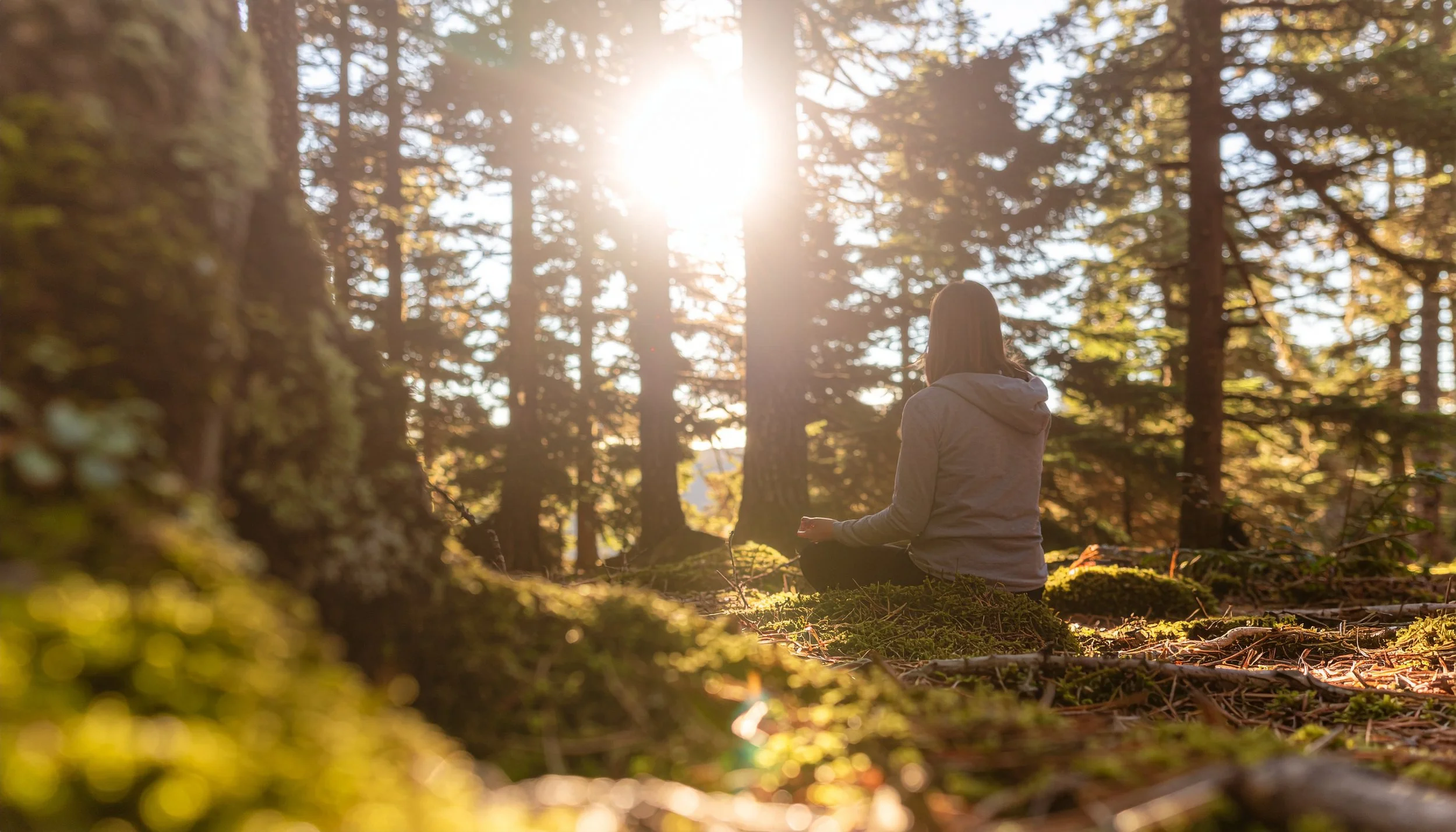 vecteezy_embrace-living-woman-meditating-in-sunlit-forest-for-digital_71722954.jpg