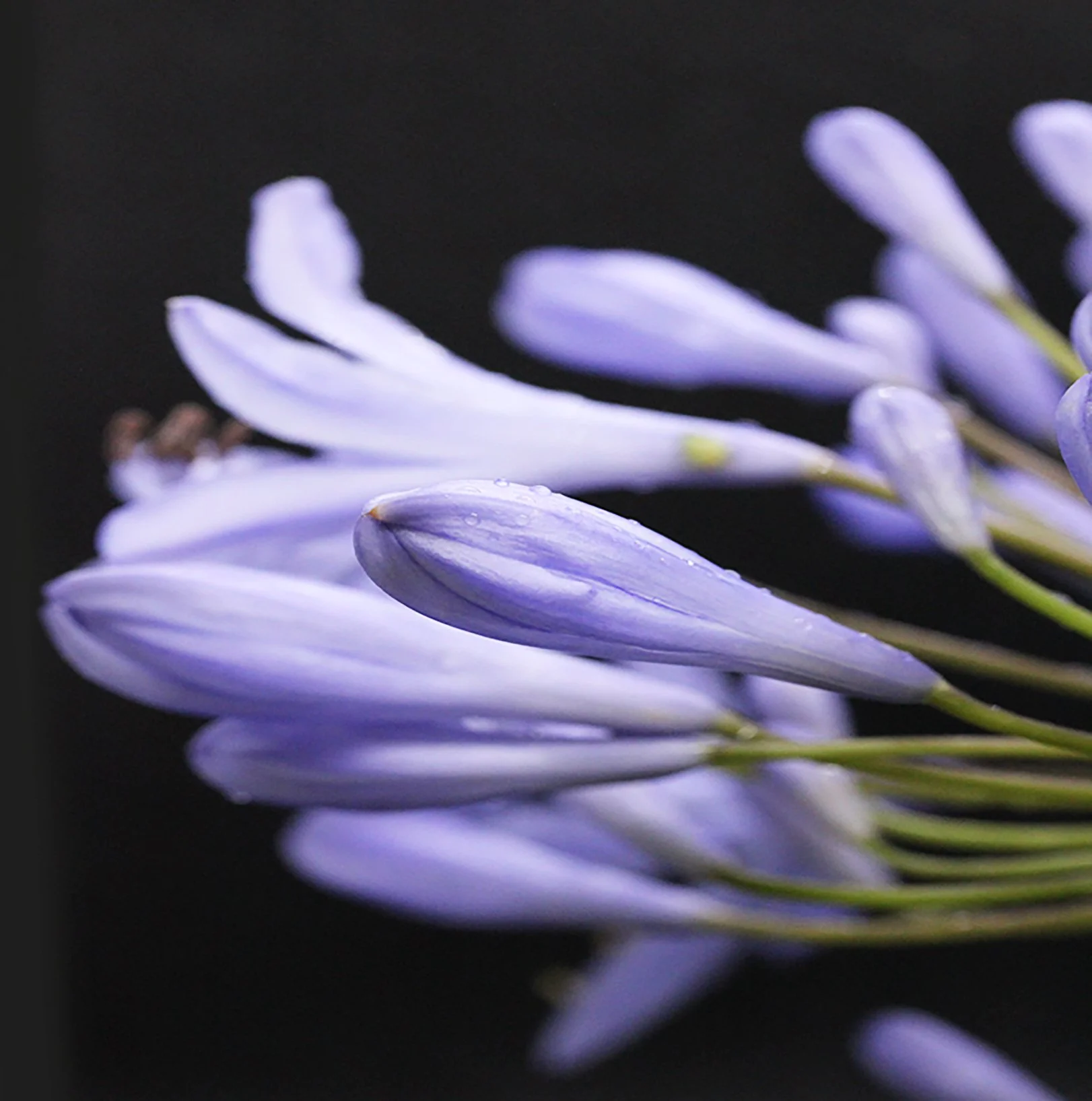IMG_2028 test .jpg