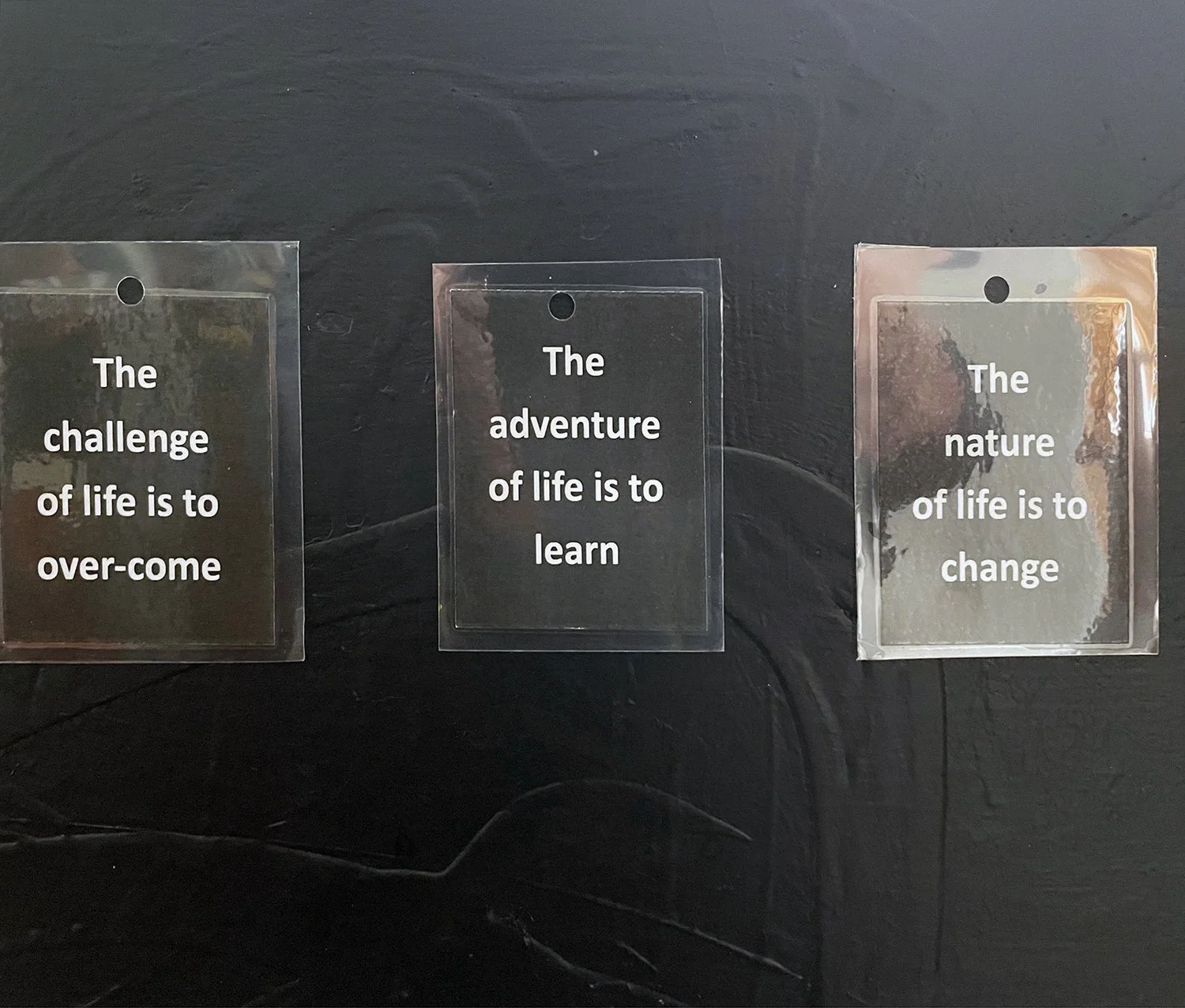 The challenge of life.jpg